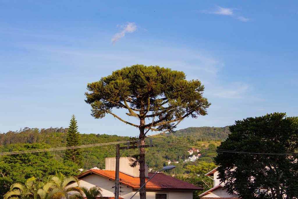 Foto do bairro Trindade em Florianópolis próximo a UFSC