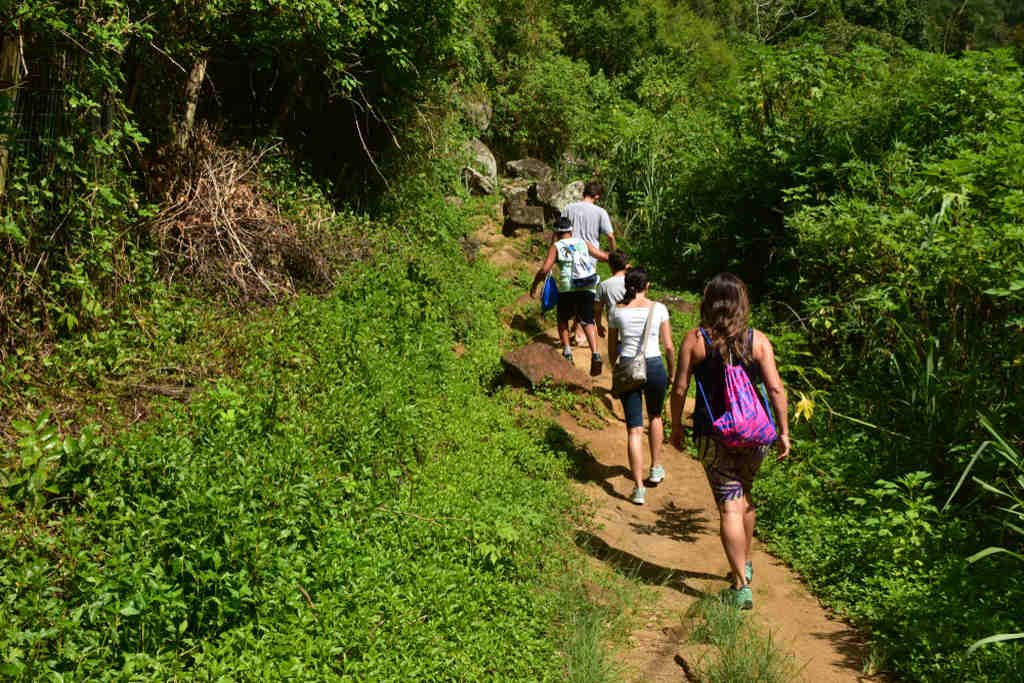 Cachoeira em Florianópolis: Qual conhecer? Descubra!