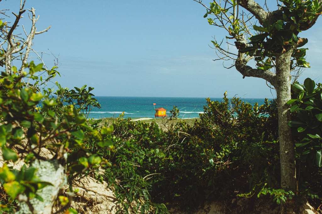 praia pico da cruz bairro rio tavares florianópolis