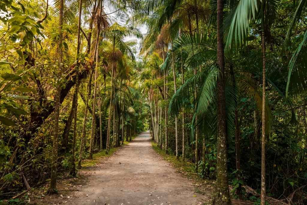 Bairro Córrego Grande em Florianópolis: 5 razões para morar nesse bairro